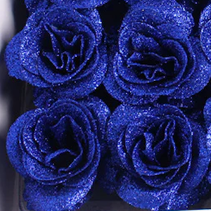 NEW - Glitter Roses