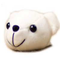 Bear Mascot Head