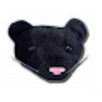 Panther Head