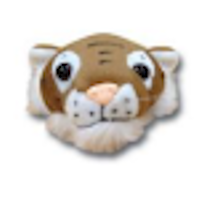 Tiger Head